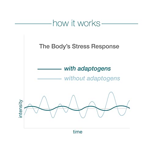 Youtheory ashwagandha Capsule, Helps Maintain Normal cortisol Level, Helps Reduce