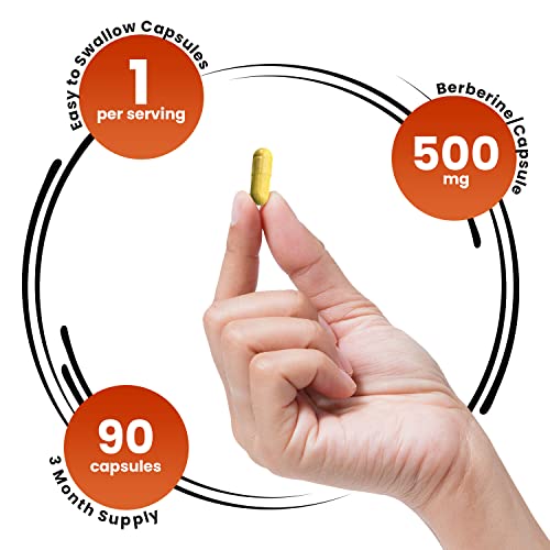 GENEX Berberine HCl 500mg (90 Capsules) | Powerful AMPK Activator, Supports Heart