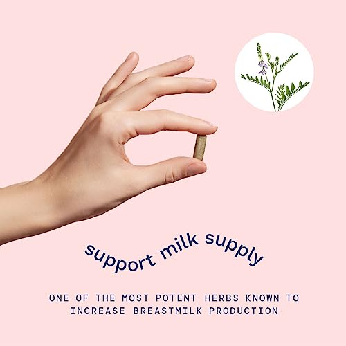 Goat's Rue Lactation Supplement For Increased Breast Milk, Lactation Supplement