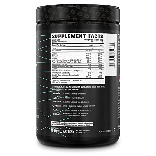 Jacked Factory Nitrosurge Max Nootropic Pre Workout Powder - Premium Pre Workout