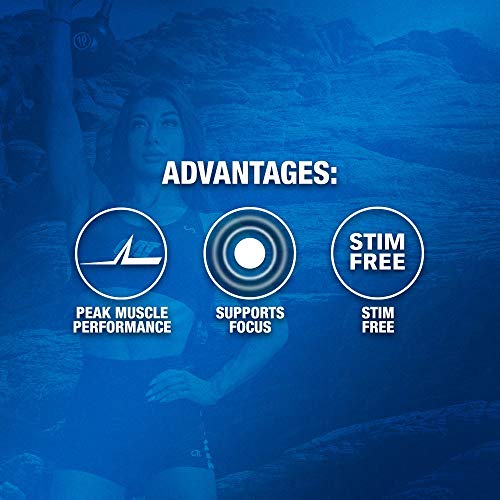 GAT PMP (Peak Muscle Performance), Next Generation Pre Workout Powder for Intense