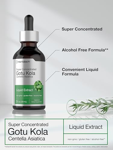 Gotu Kola Extract | 2 fl oz | Alcohol Free | Super Concentrated Liquid Herb Supplement