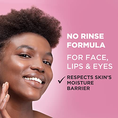 Garnier SkinActive Micellar Water for All Skin Types, Facial Cleanser & Makeup Remover
