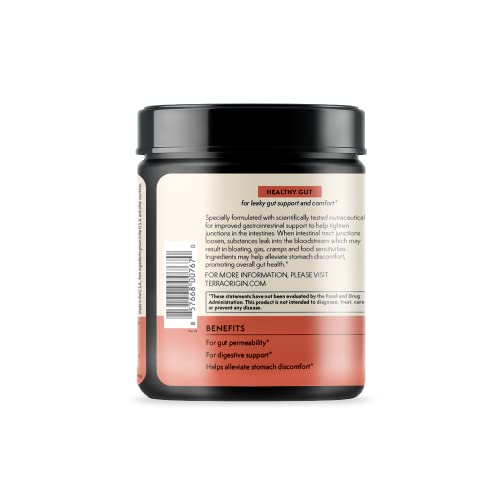 TERRA ORIGIN Healthy Gut Watermelon | 30-Servings with L-Glutamine, Zinc