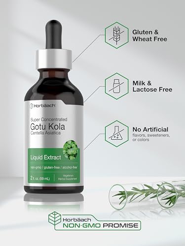 Gotu Kola Extract | 2 fl oz | Alcohol Free | Super Concentrated Liquid Herb Supplement