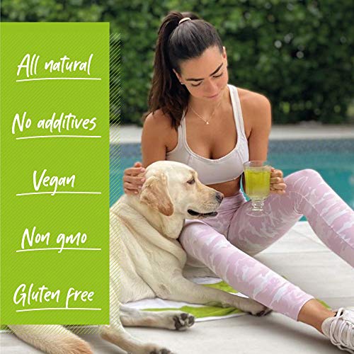 Dr. Zisman ZT Slimming - Matcha-Coconut Detox Blend, Weight Loss Tea with Antioxidant Effects