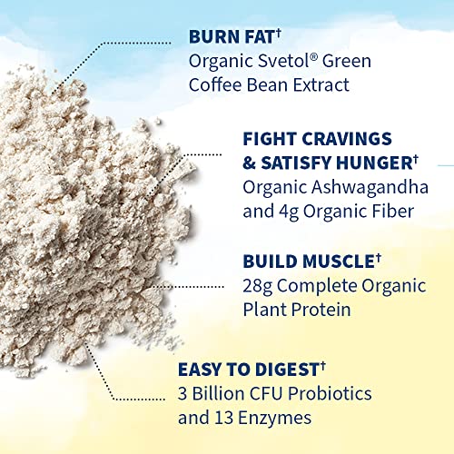 Garden of Life Raw Organic Fit Vegan Protein Powder Vanilla, 28g Plant Based Protein