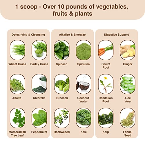 Detox Organics Chocolate Superfood Powder, Detox Cleanse for your Body, Bloating Relief