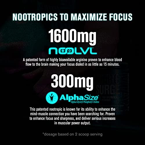 Jacked Factory Nitrosurge Max Nootropic Pre Workout Powder - Premium Pre Workout