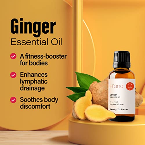 H’ana Pure Ginger Oil for Belly Fat & Pain - 100% Natural Therapeutic Grade Ginger Essentia
