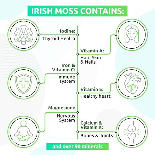 TrueSeaMoss Wildcrafted Irish Sea Moss Gel – Nutritious Raw Seamoss Rich in Minerals