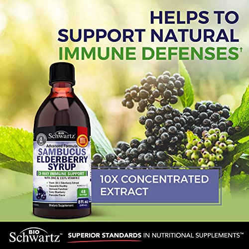 Elderberry Syrup for Kids and Adults - Natural Immune Support with Zinc and Vitamin C