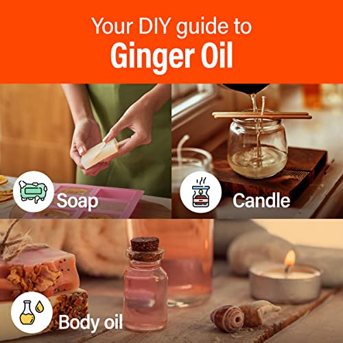 H’ana Pure Ginger Oil for Belly Fat & Pain - 100% Natural Therapeutic Grade Ginger Essentia