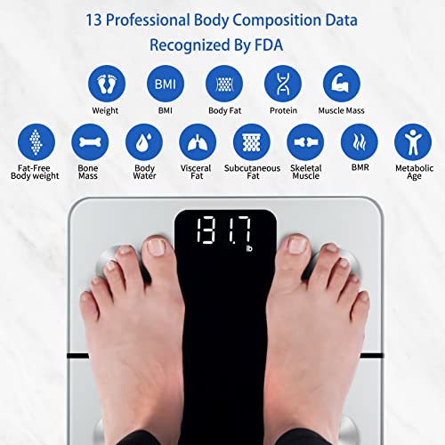 Vitafit Smart Scales for Body Weight and Fat Percentage, Weighing Professional Since 2001