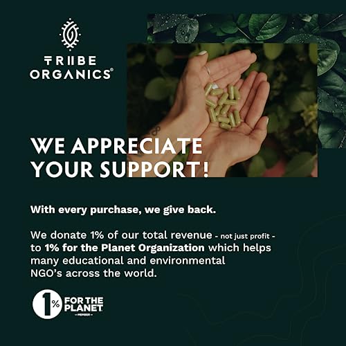 TRIBE ORGANICS Vegan Ashwagandha KSM 66 Pure Organic Root Powder Extract Ayurvedi