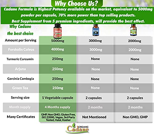 2 Packs Organic Forskolin Supplements Capsules 5000mg with Turmeric, Arjuna, Garcinia Cambogia