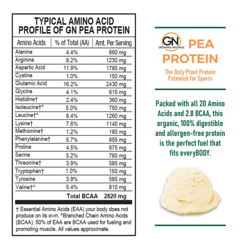 Growing Naturals | Vanilla Raw Pea Powder 15g Plant Protein | 2.8G BCAA, Low-Carb