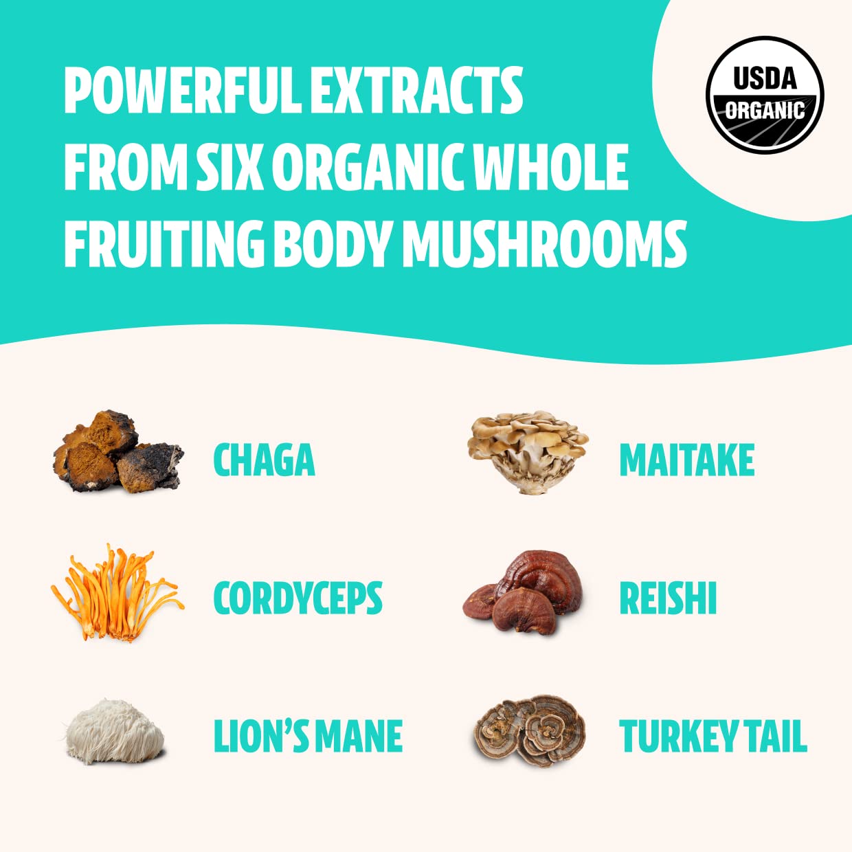 FreshCap Ultimate Mushroom Complex Powder - Lions Mane, Reishi, Cordyceps, Chaga