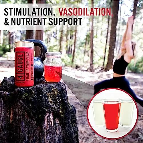 4 Gauge Natural Preworkout Without The Jitters | 30 Servings | Nitric Oxide Booster 4 Gauge