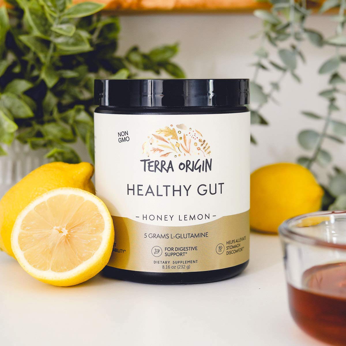 TERRA ORIGIN Healthy Gut Powder (Honey Lemon) | 30-Servings with L-Glutamine