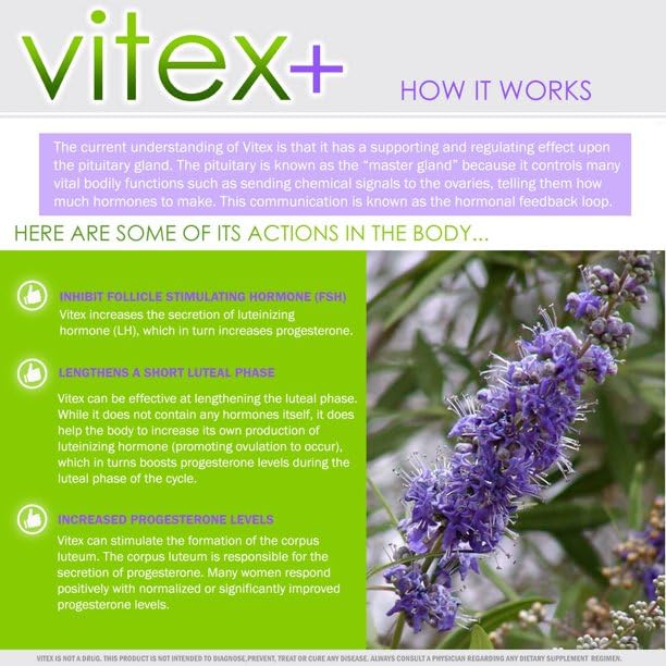 yhn Vitex Plus 650mg Chasteberry Supplement for Women - Support Fertility, Hormone Balance