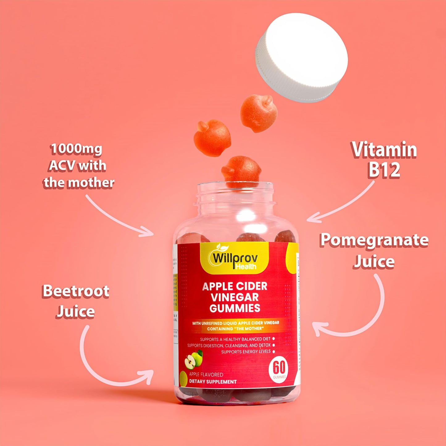 Willprov Health Apple Cider Vinegar Gummies - 1000mg ACV with Mother for Metabolism