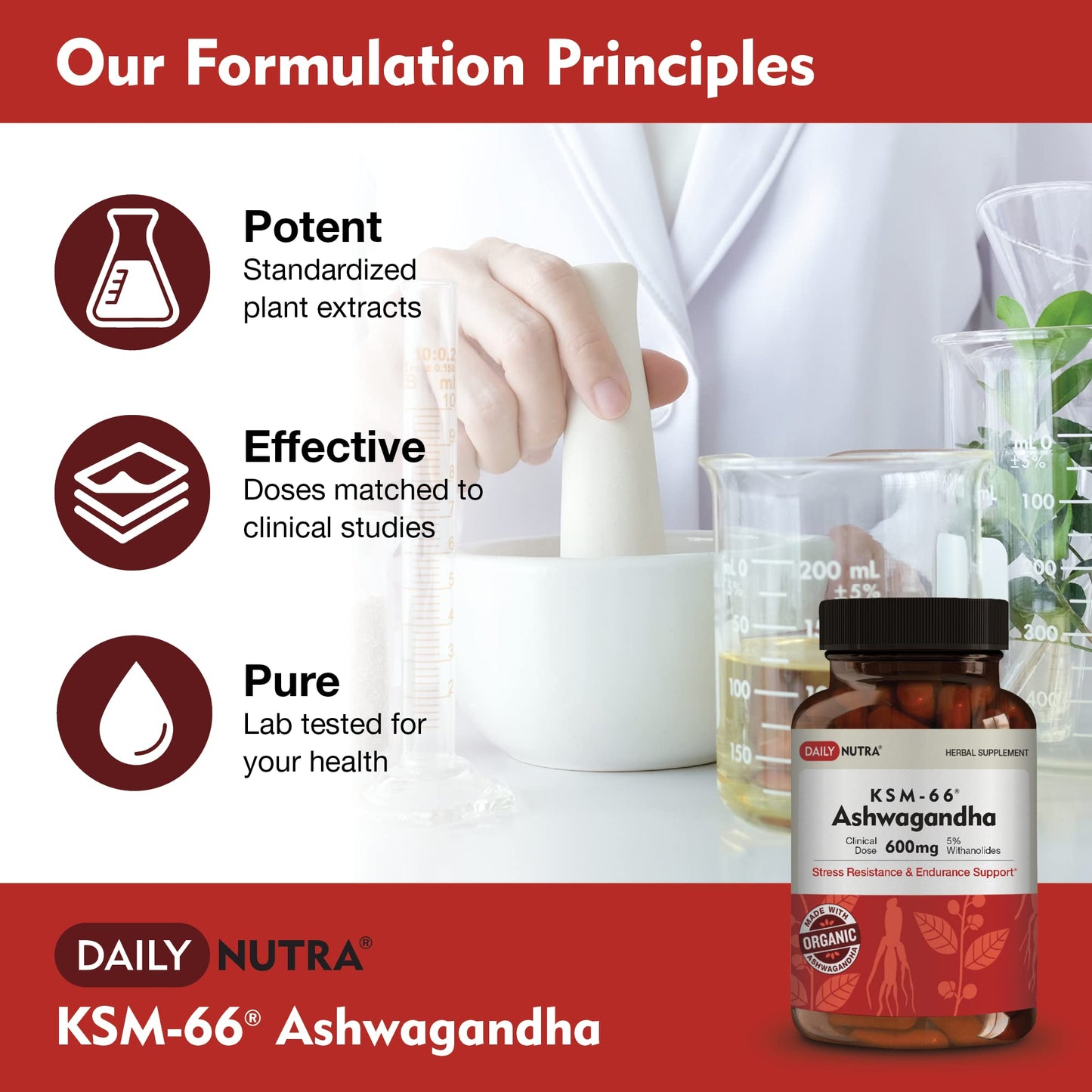 DailyNutra KSM-66 Ashwagandha 600mg Organic Root Extract - High Potency Supplement