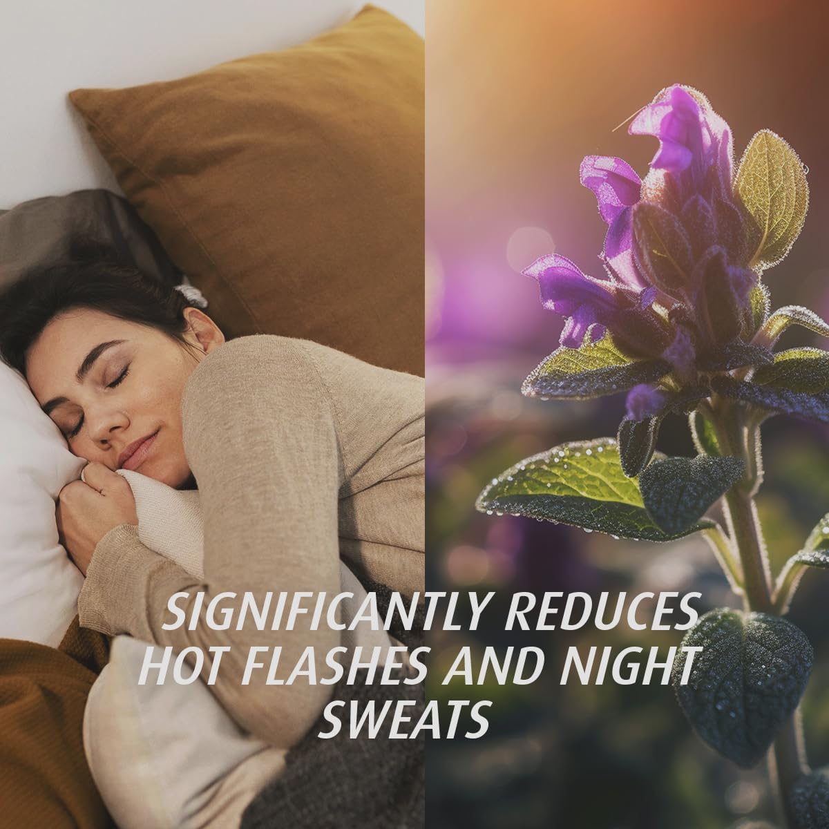 A VOGEL Organic Menopause, 90 CT A.Vogel