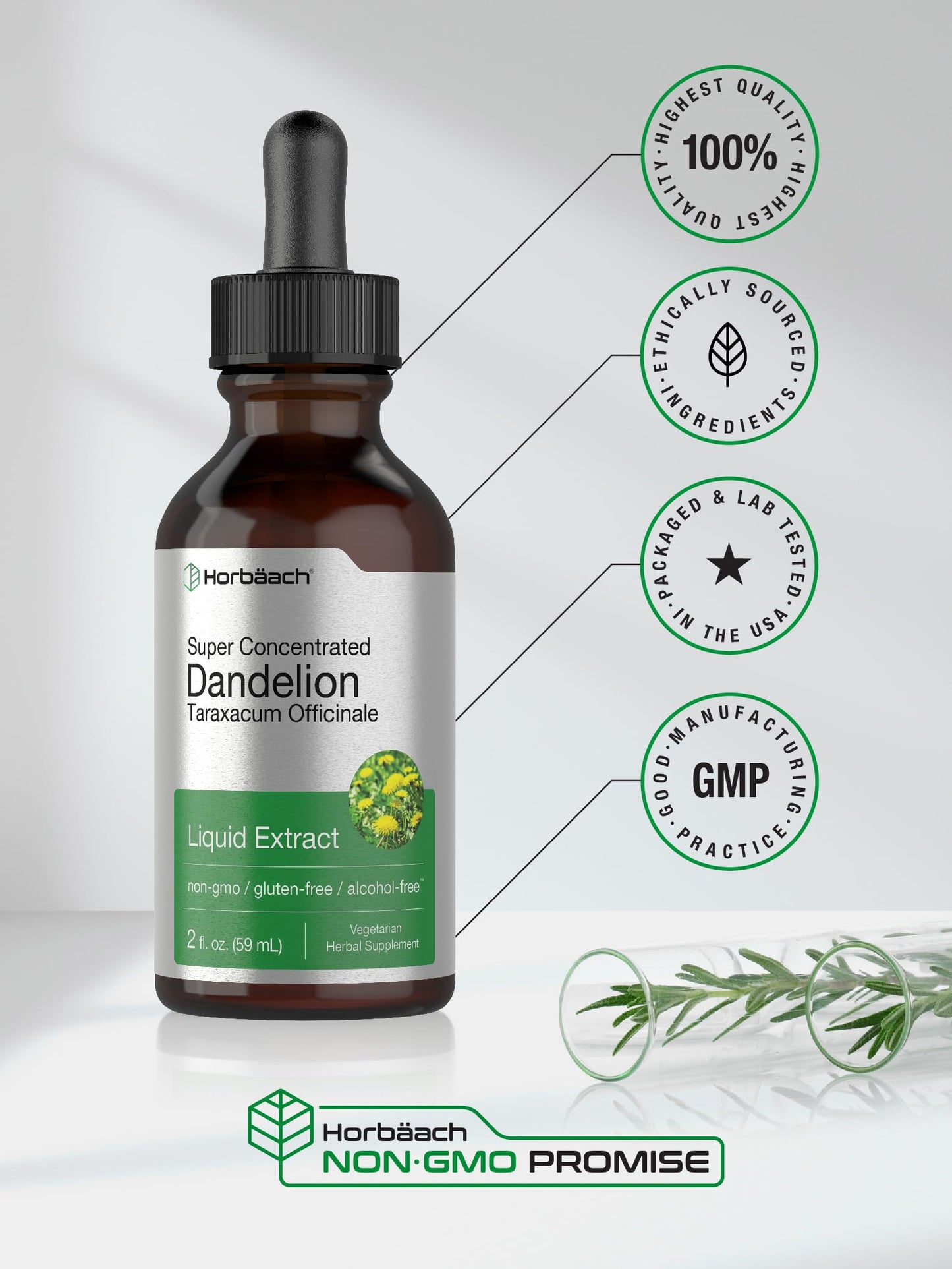Dandelion Root Extract | 2 fl oz | Super Concentrated | Alcohol Free Liquid Tincture