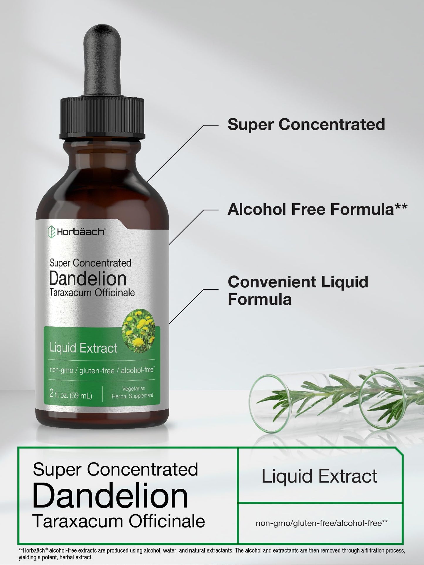 Dandelion Root Extract | 2 fl oz | Super Concentrated | Alcohol Free Liquid Tincture