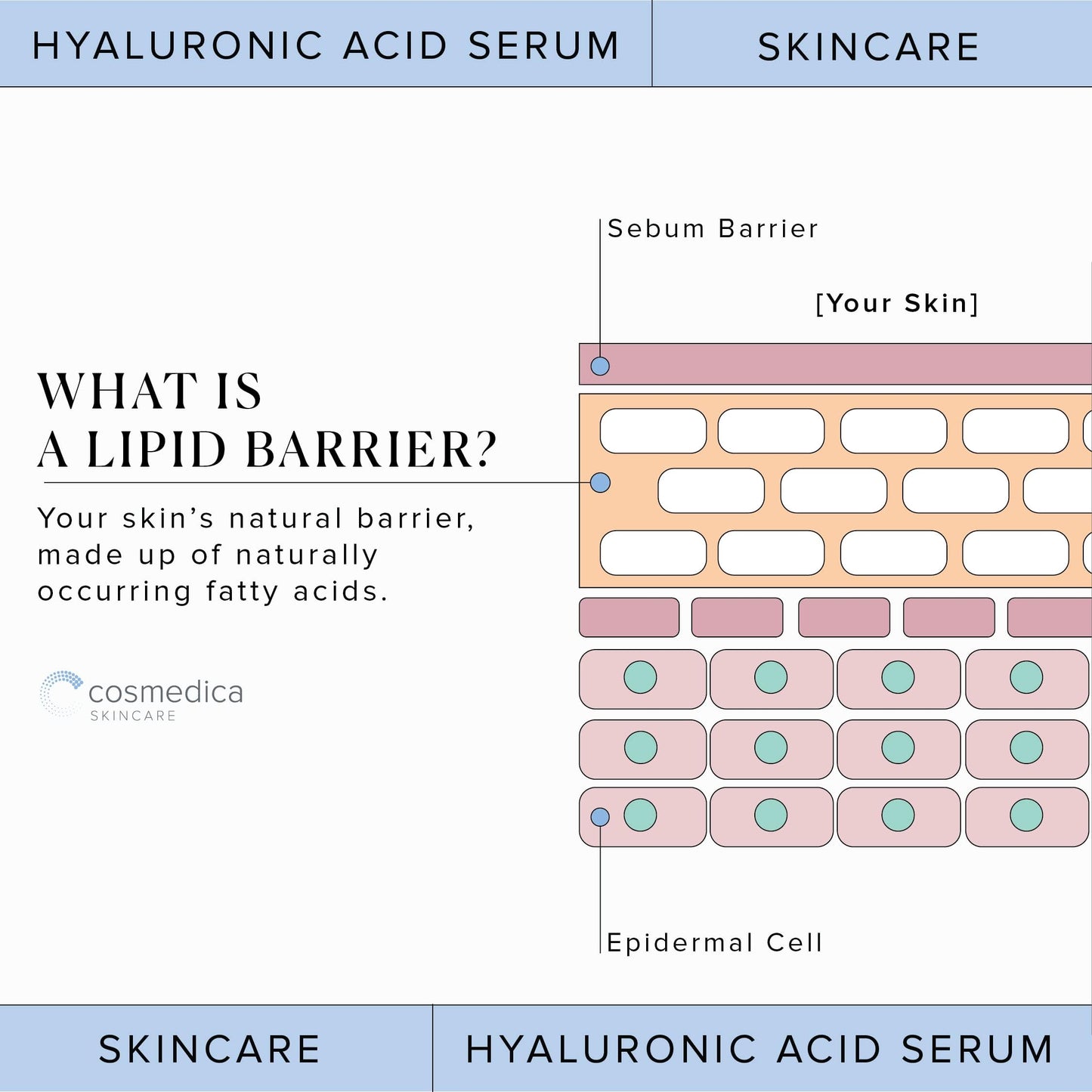 Hyaluronic Acid Serum for Skin 100% Pure Anti Aging Serum Intense Hydration