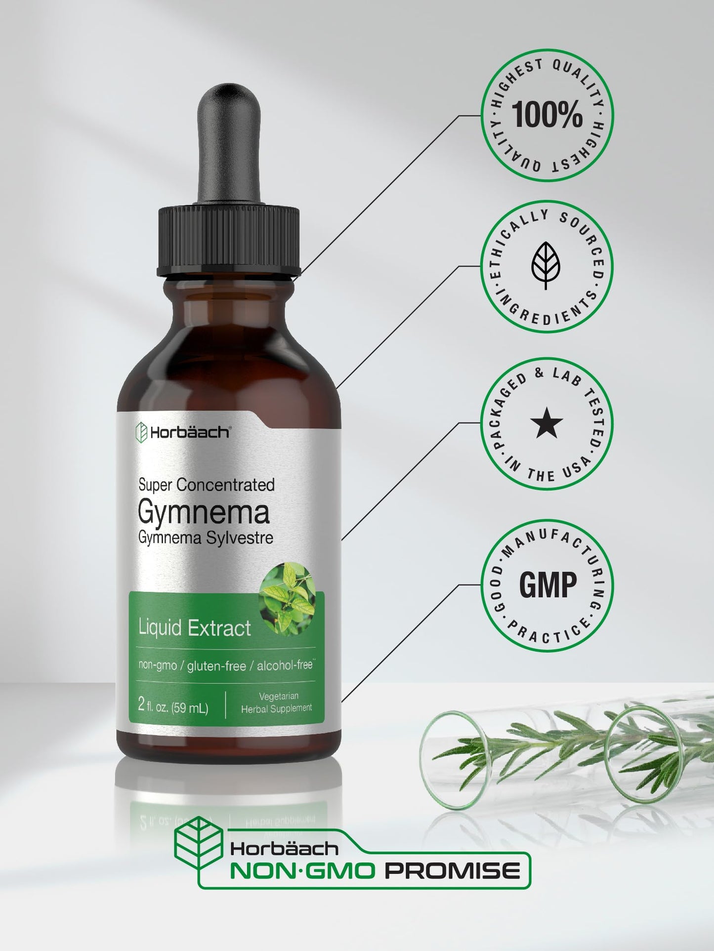 Gymnema Sylvestre Liquid | 2 fl oz | Alcohol Free Supplement | Super Concentrated