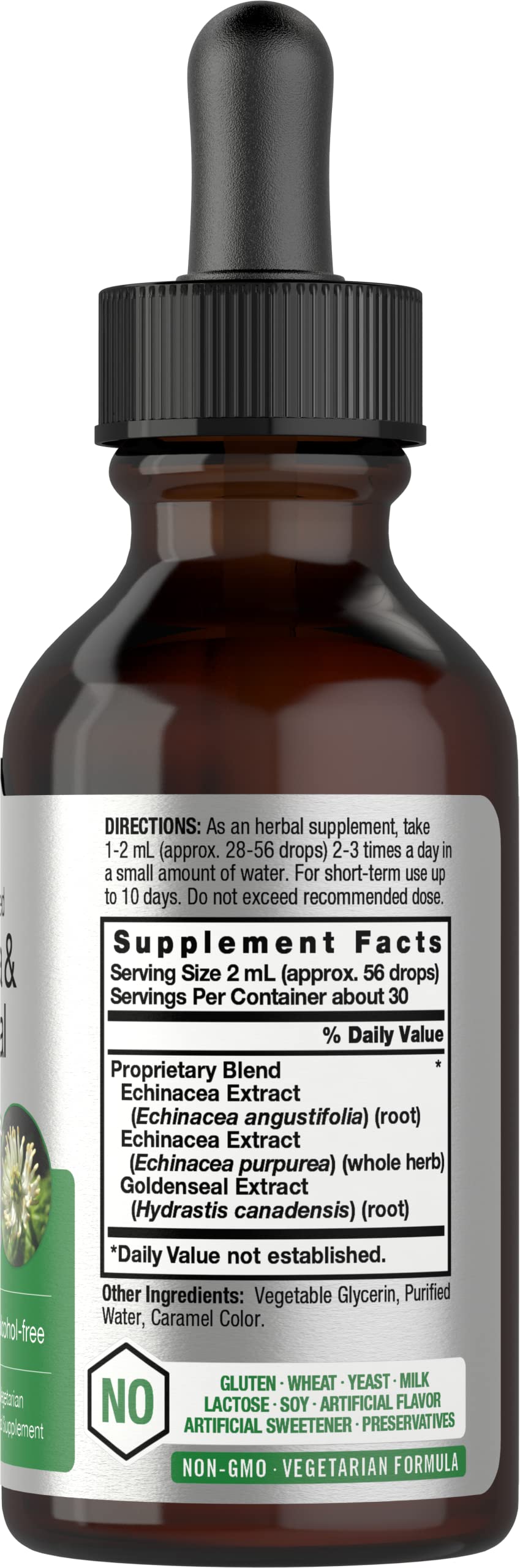 Echinacea Goldenseal Liquid Extract | 2 fl oz | Alcohol Free Tincture Drops | Vegetarian