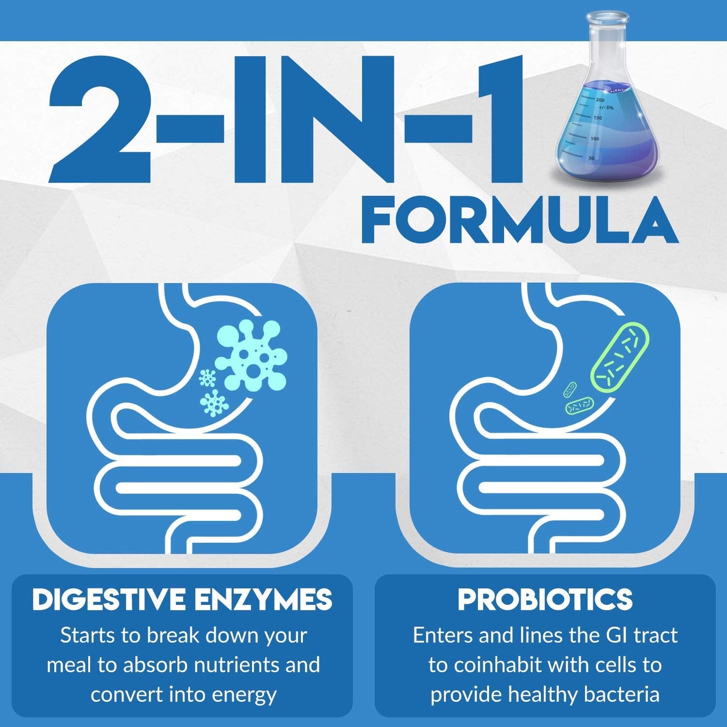 Instant Digest Complete 2-in-1 Probiotic Digestive Enzymes, 60 Capsules