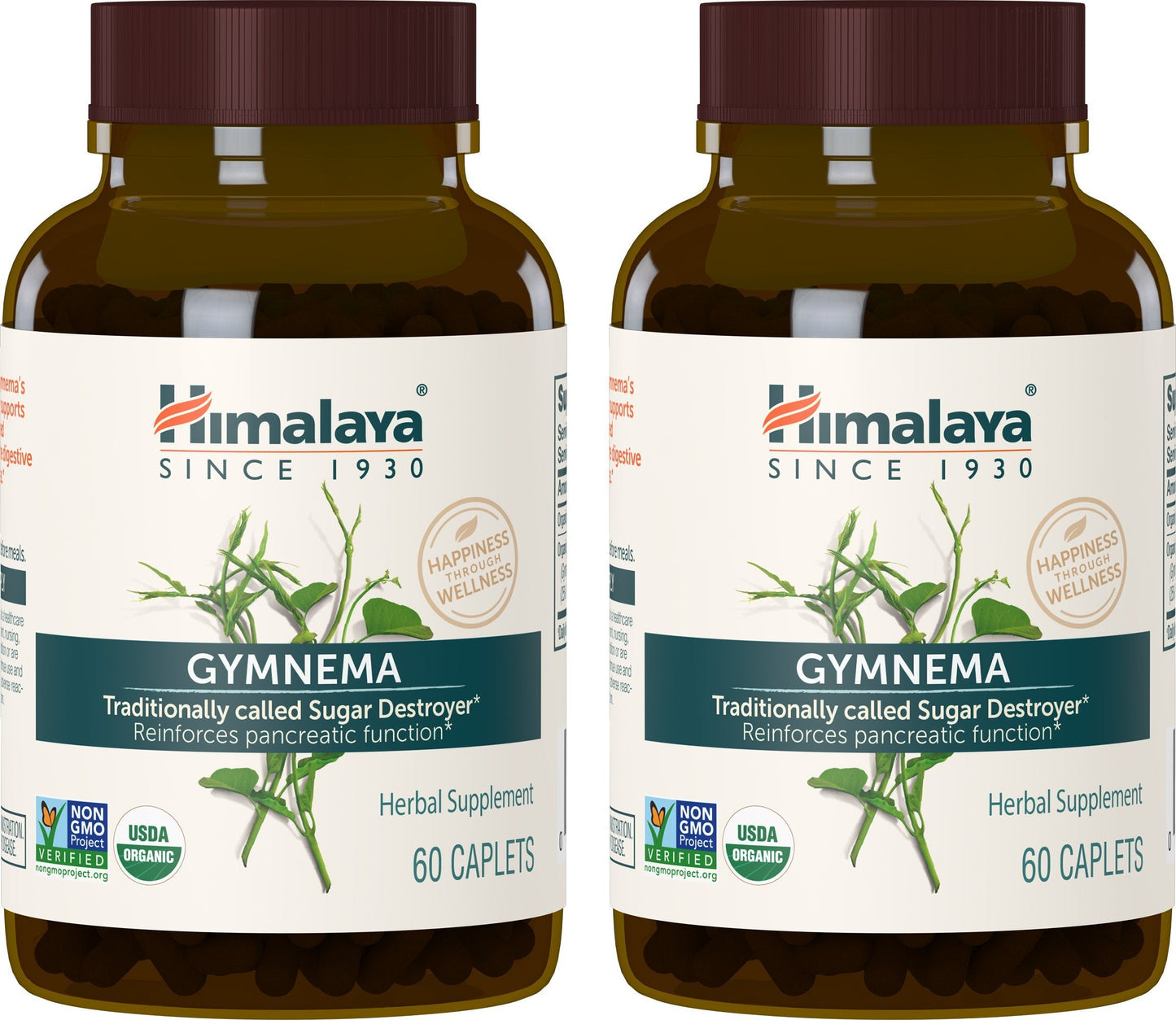 Himalaya Organic Gymnema Sylvestre for Glucose Metabolism, 700 mg