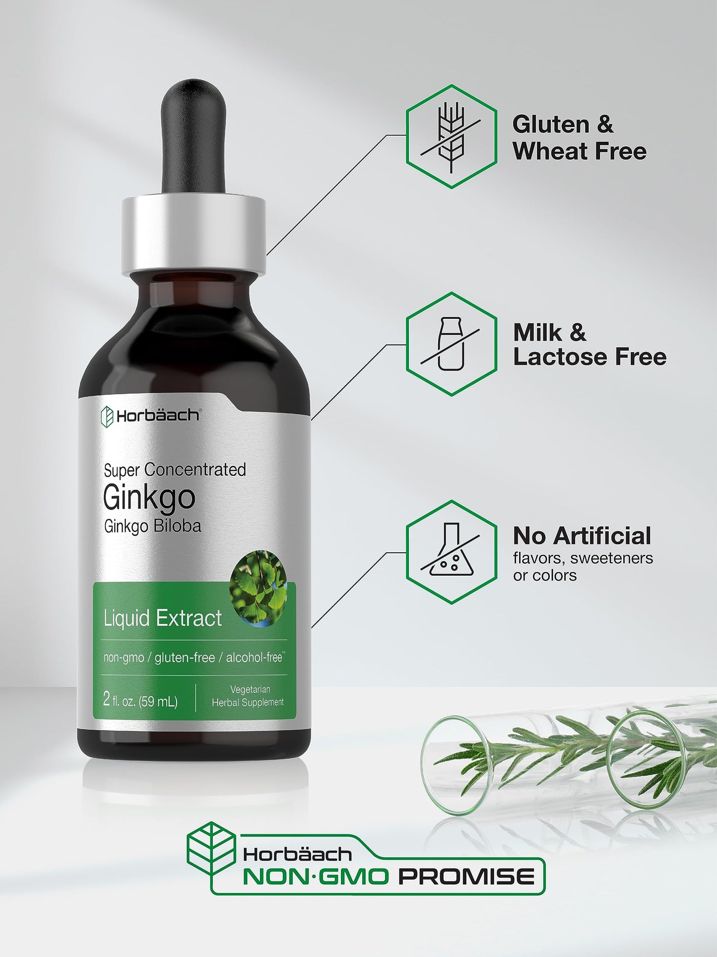 Ginkgo Biloba Extract Liquid 2 fl oz | Alcohol-Free Herb Supplement | Vegetarian