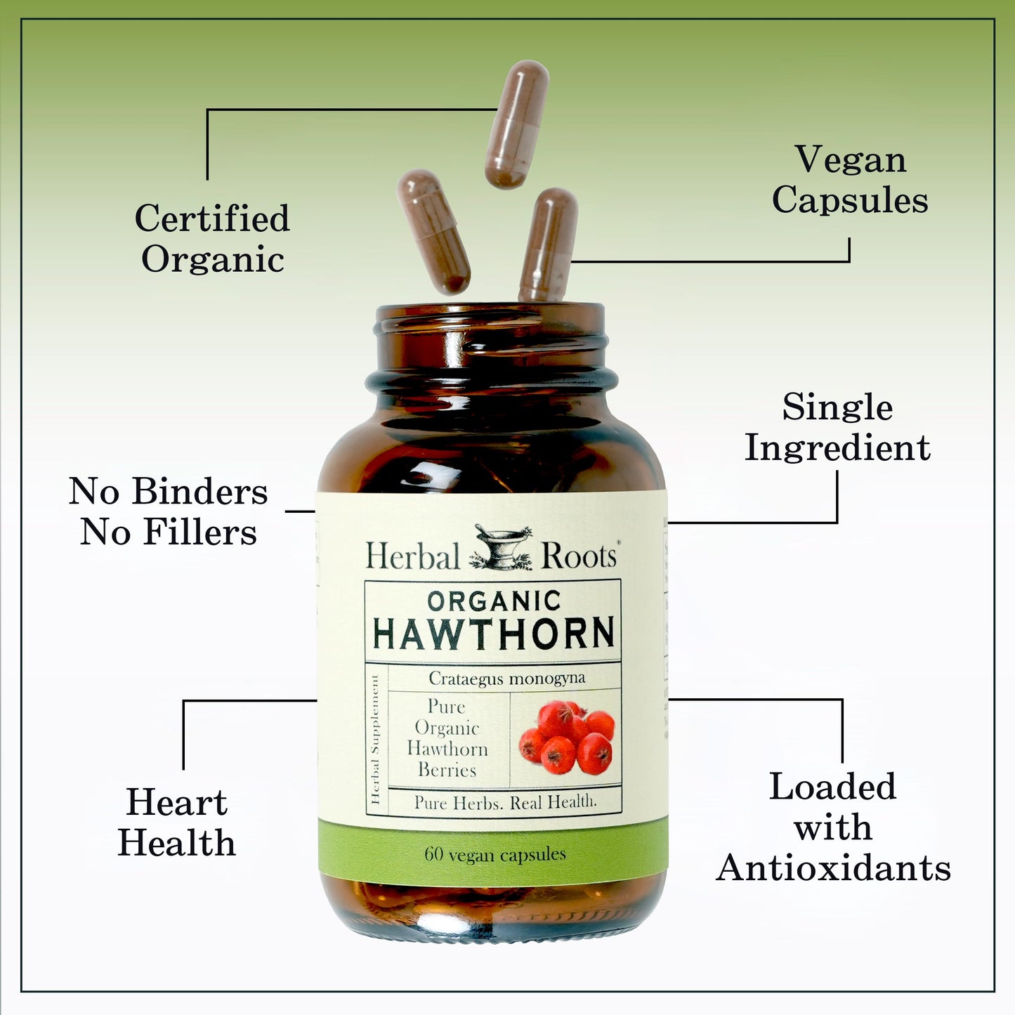 Herbal Roots Organic Hawthorn Berry Capsules | Extra Strength 1,200mg per Serving
