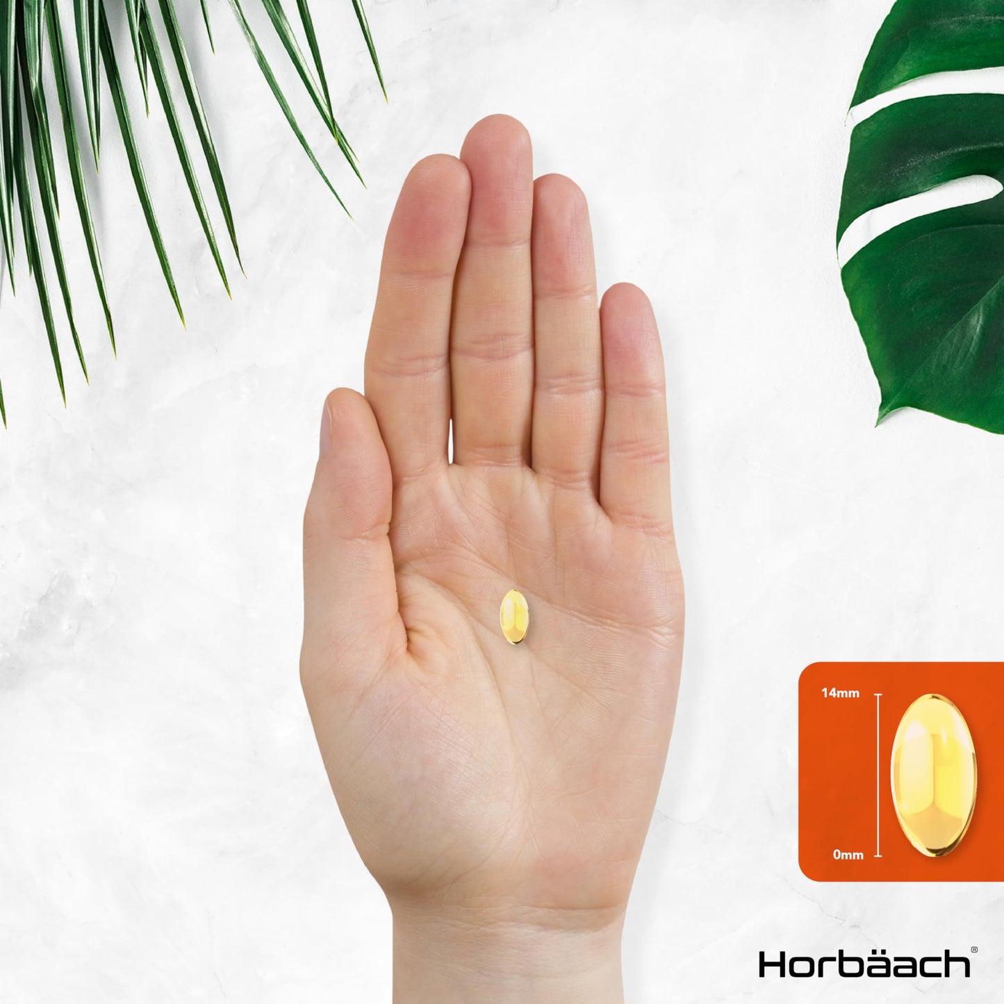 Vitamin A Capsules 10,000iu | 365 Count (1 Year Supply) | High Strength Vitamin A Supplem