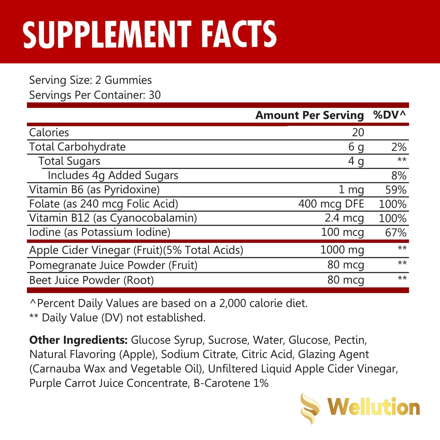WELLUTION (2 Pack Gummies Apple Cider Vinegar - Formulated to Support Healthy Weight