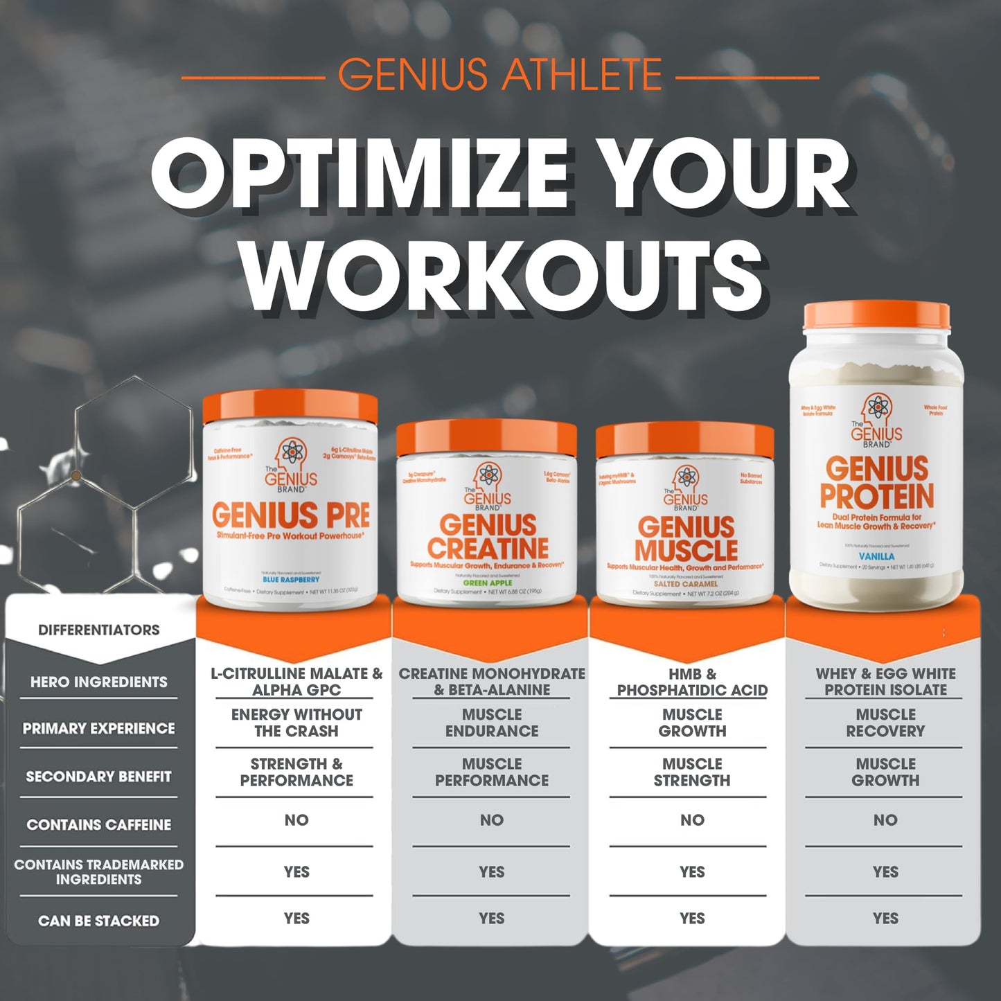 Genius Pre Workout Powder, Blue Raspberry - All-Natural Nootropic Pre-workout & Caffeine
