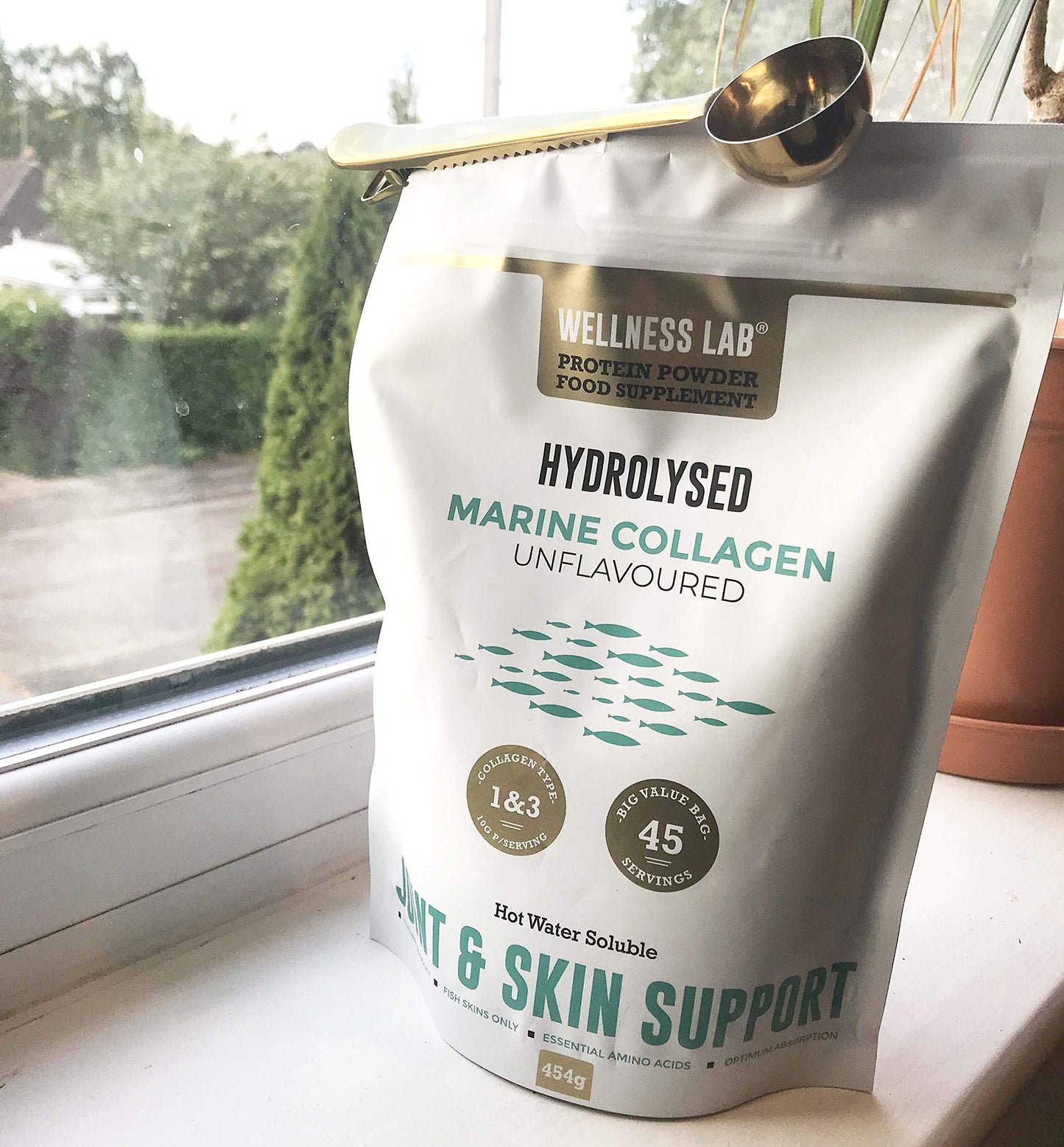 Cleanest Marine Collagen Peptides | Wellness Lab 454g | Type I,III | Highest Bioavailability Hydrolysed Protein