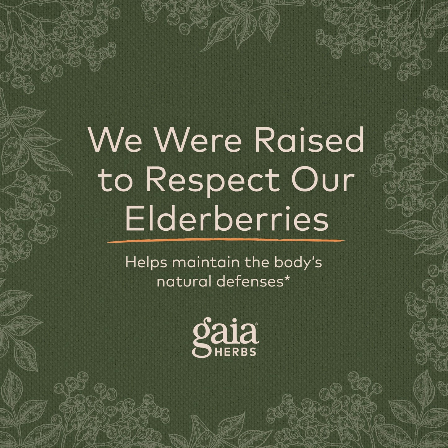 Gaia Herbs Black Elderberry (Sambucus Nigra) Extra Strength Gummies