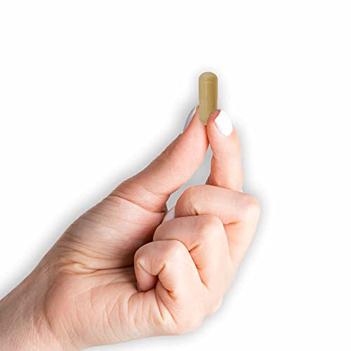 MASON NATURAL Colon Herbal Cleanser, Dietary Supplement Supports Digestive Health MASON NATURAL