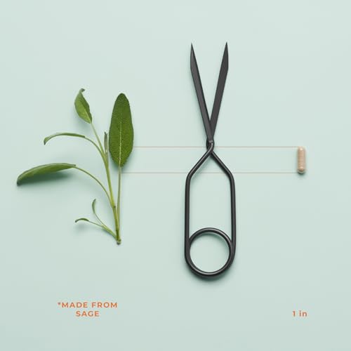 Pausitivi-T - Menopause Support Supplement - Powerful Relief for Hot Flashes LifeSeasons