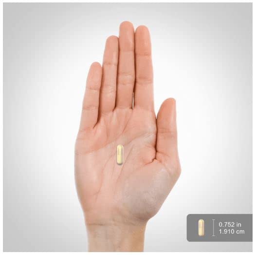 Menopause Supplement for Women | 100 Capsules | Advanced Support Formula | for Night