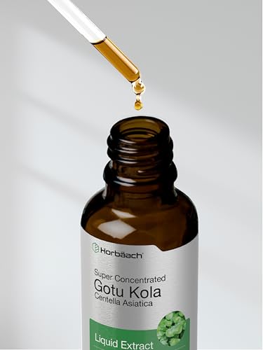 Gotu Kola Extract | 2 fl oz | Alcohol Free | Super Concentrated Liquid Herb Supplement