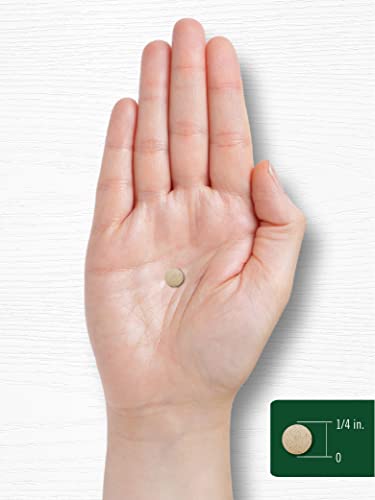 Sea Kelp Iodine Supplement | 225mcg | 300 Tablets | Non-GMO, Gluten Free | Traditional Carlyle