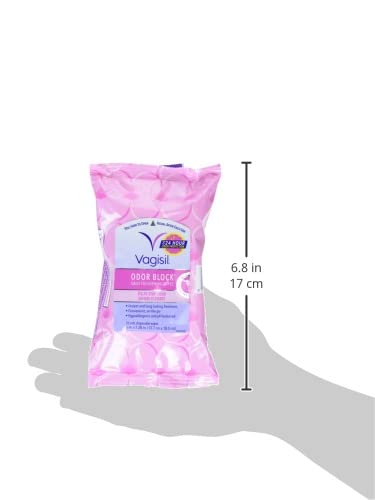 Vagisil Odor Block Daily Freshening Wipes for Feminine Hygiene in Resealable Pouch Vagisil