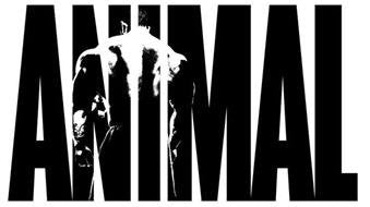 Animal Creatine Chews Tablets - Enhanced Creatine Monohydrate with AstraGin to Improve Animal