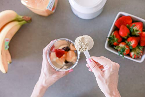 MILK DUST Bump DUST Prenatal Protein Powder 660g | Prenatal Vitamin | Prenatal Supplement MILK DUST